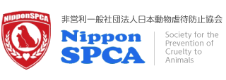 非営利一般社団法人日本動物虐待防止協会